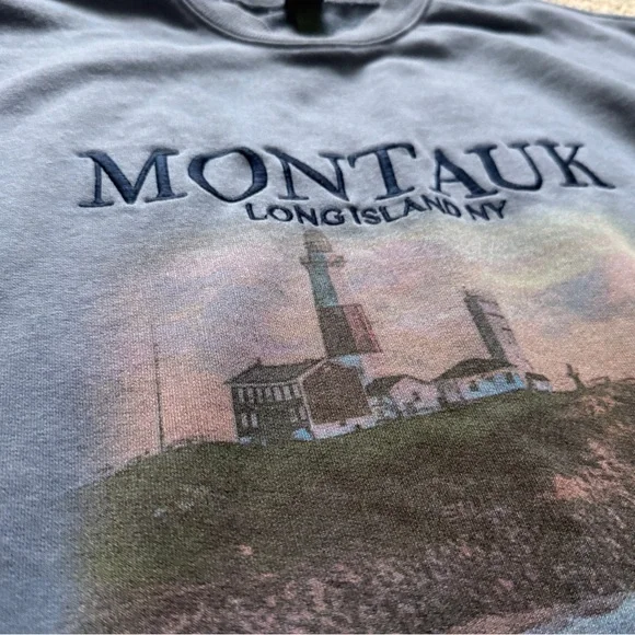 Wild Fable Montauk Embroidered Graphic Oversized Crewneck Sweatshirt Blue Small - Picture 3 of 8